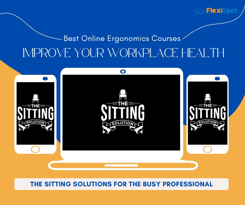 The Sitting Solutions For the Busy Professional