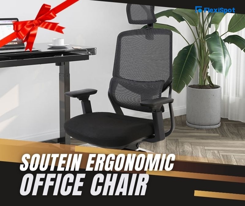 Soutein Ergonomic Office Chair