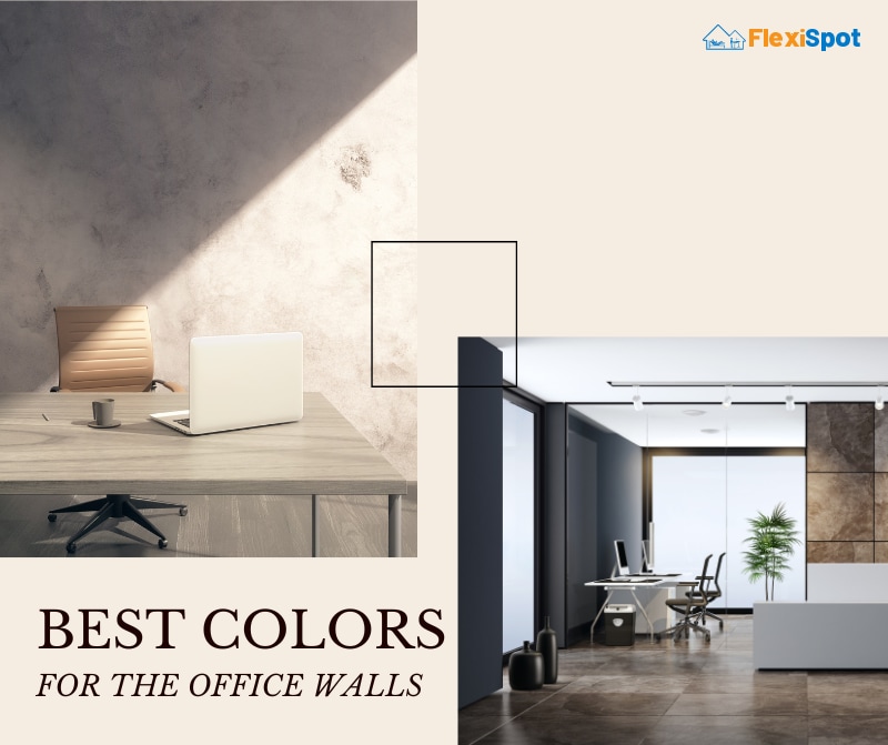 Choose the Best Colors for the Walls of the Office