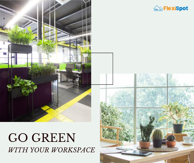 Go Green with Your Workspace!