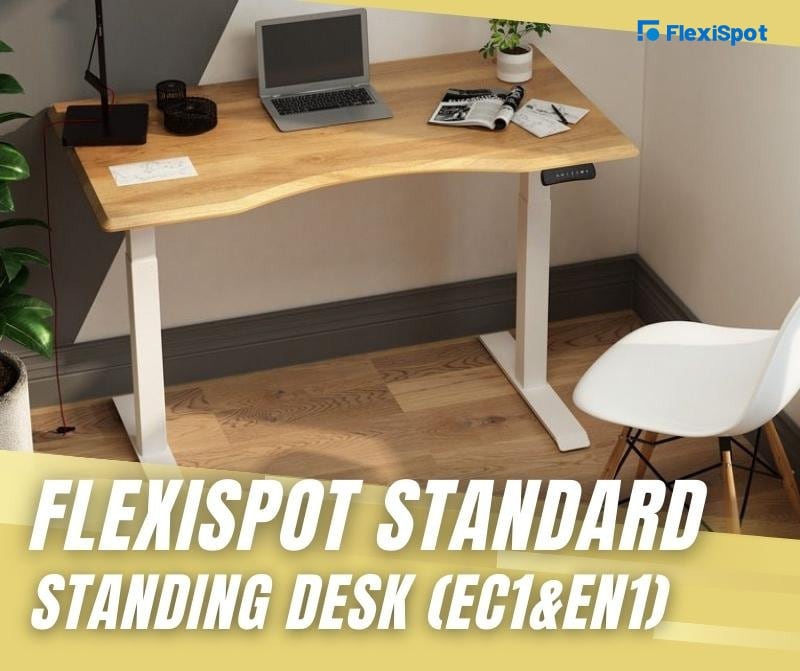 FlexiSpot Standard Standing Desk