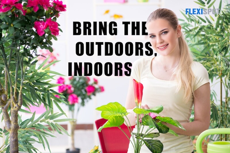 Bring the Outdoors, Indoors