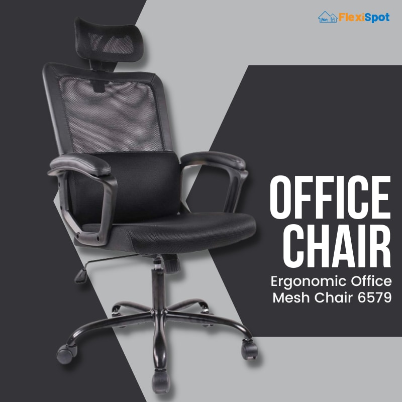 Ergonomic Office Mesh Chair 6579