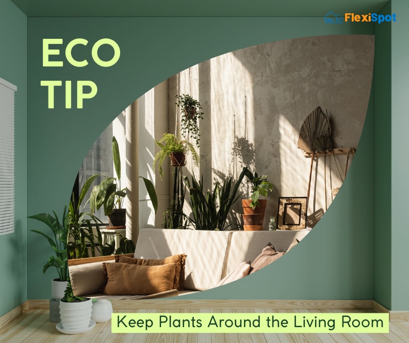 Keep Plants Around the Living Room
