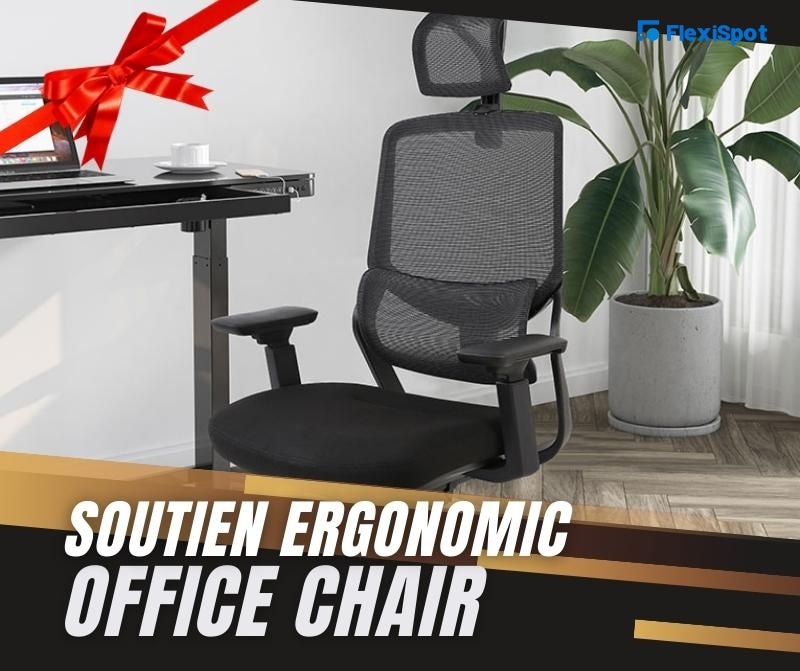 Soutien Ergonomic Office Chair