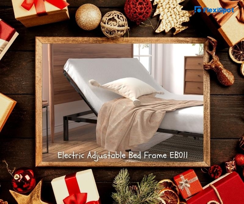 Electric Adjustable Bed Frame EB011