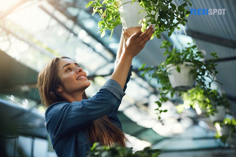 Young lady gardener hanging plants in her owner operated greenhouse flower shop