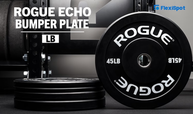 Echo Bumper Plates V2 by Rogue Fitness