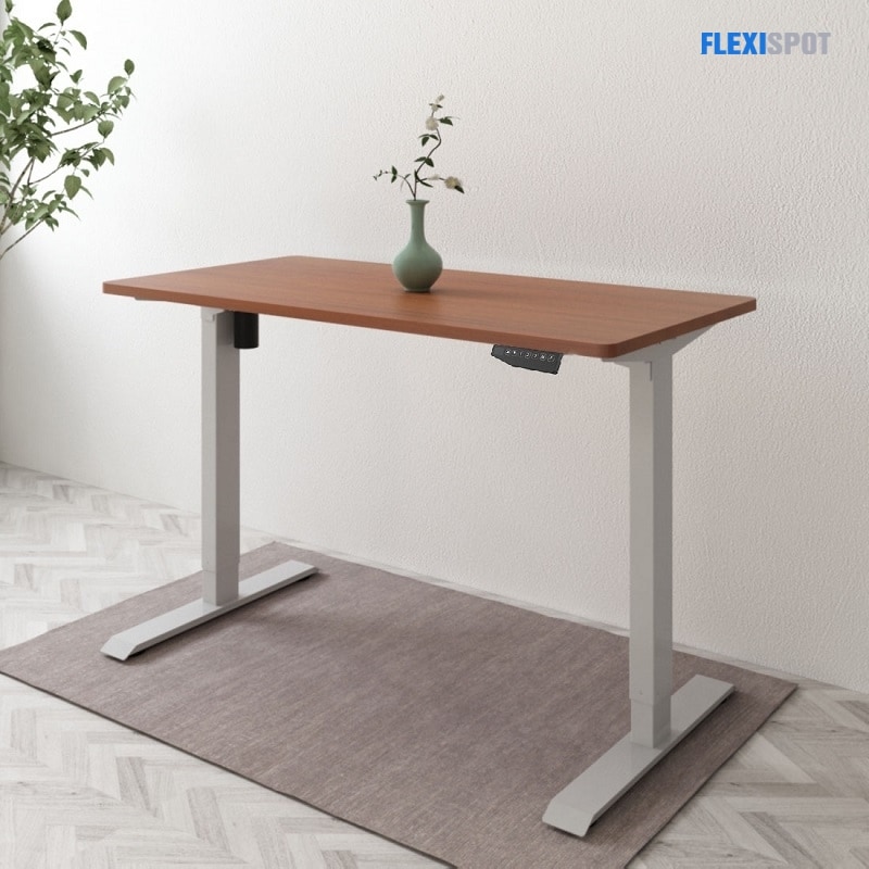 Adjustable Standing Desk EN1