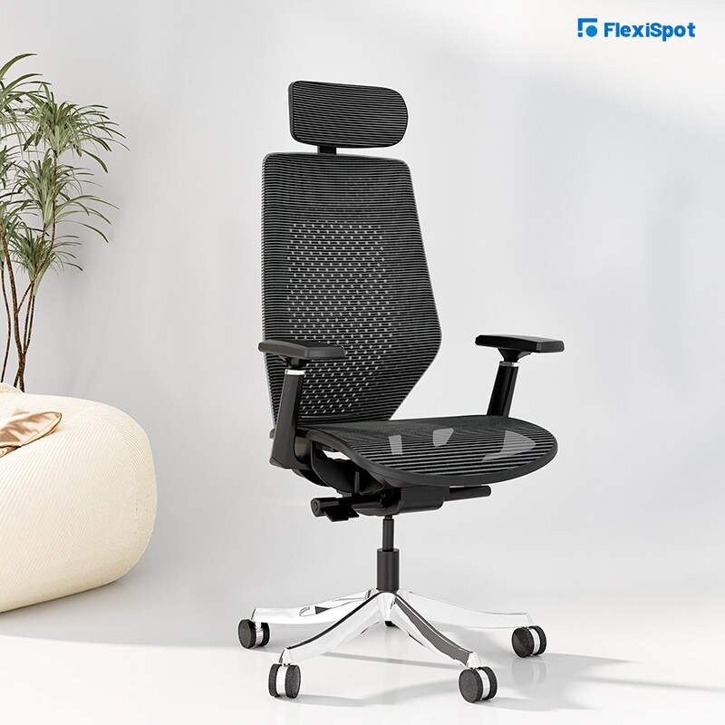Ergonomic Office Desk Chair Pro 