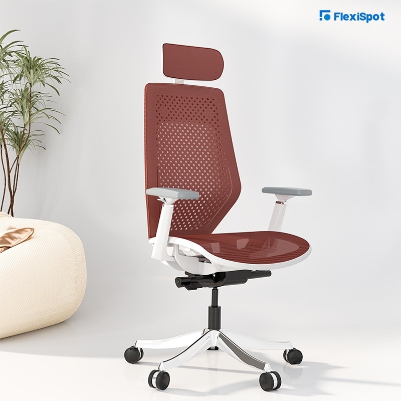 Ergonomic Office Desk Chair Pro