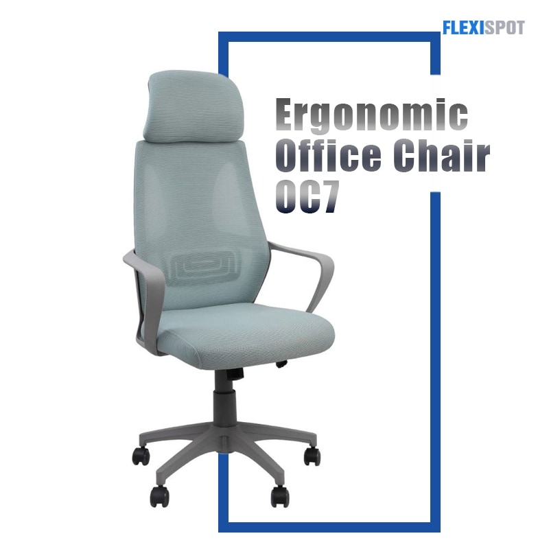 Flexispot Ergonomic Office Chair OC7