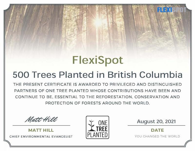 FlexiSpot Donates to Plant Trees and Becomes Part of the Global Tree Plantation Drive