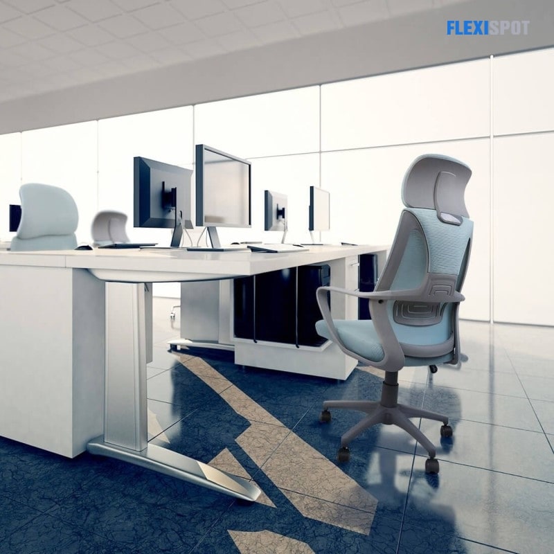 Flexispot Ergonomic Office Chair OC7