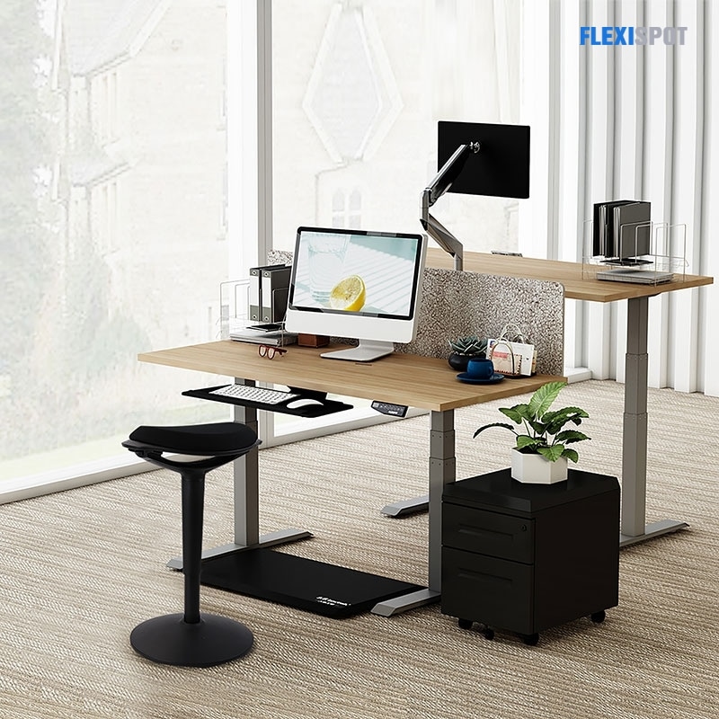 Adjustable Standing Desk Pro Series