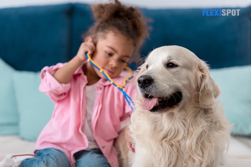 Adorable african american kid playing with stethoscope and her retriever