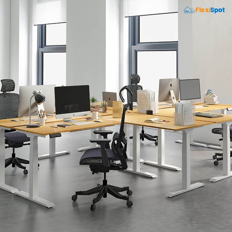 Provide Them Ergonomic Office Equipment