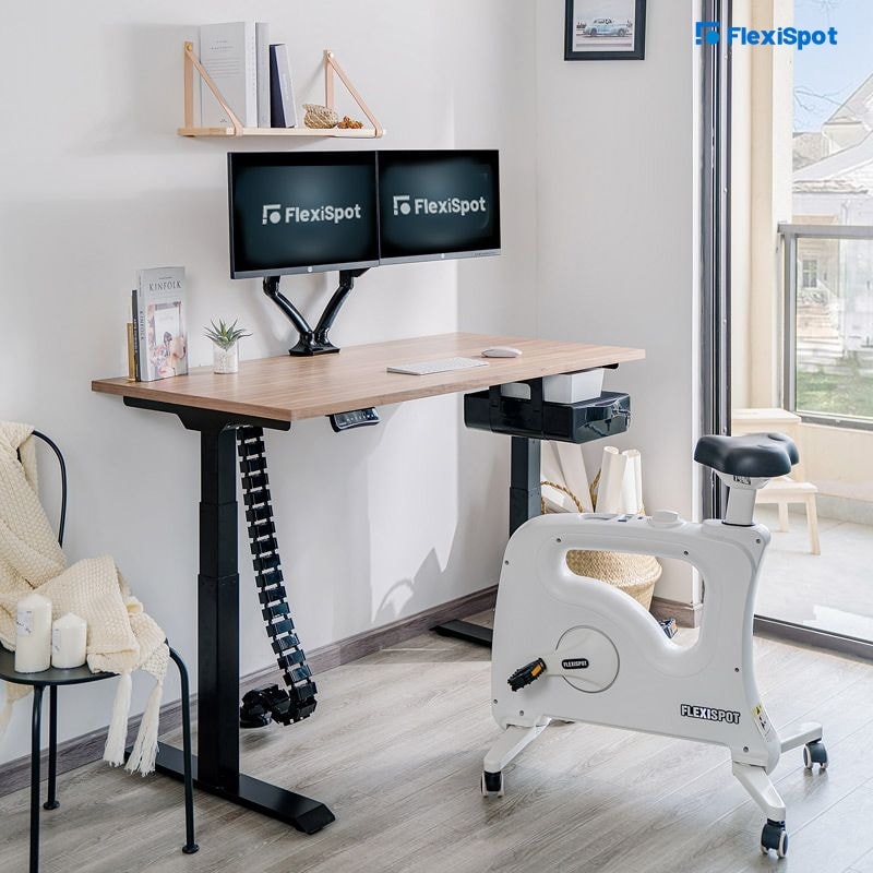 Flexispot Pro Plus Standing Desk E7