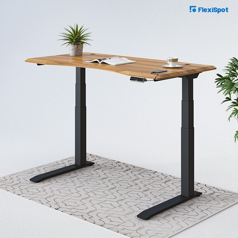 FlexiSpot Pro Plus Standing Desk (E7)