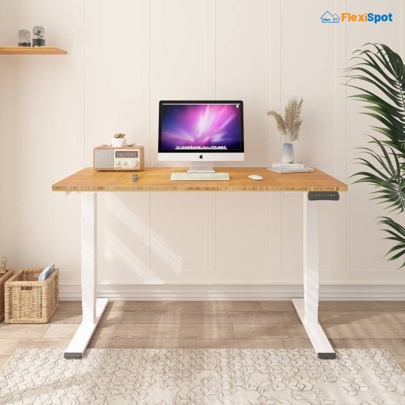 Pro Standing Desk (E5)