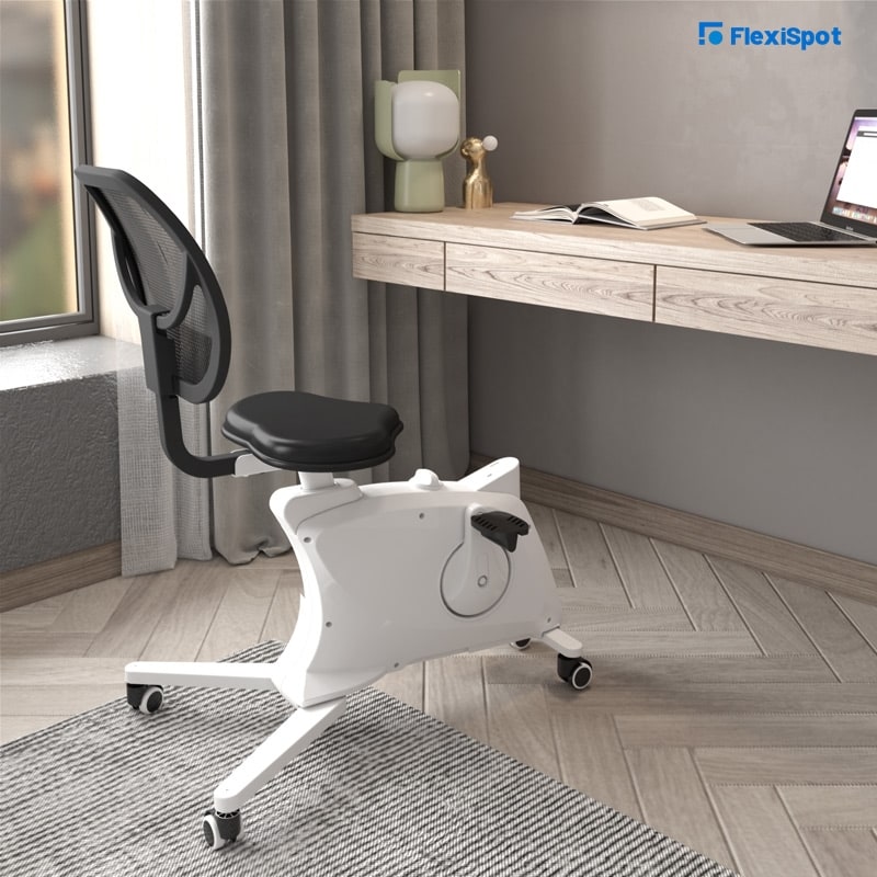 Fitness Chair