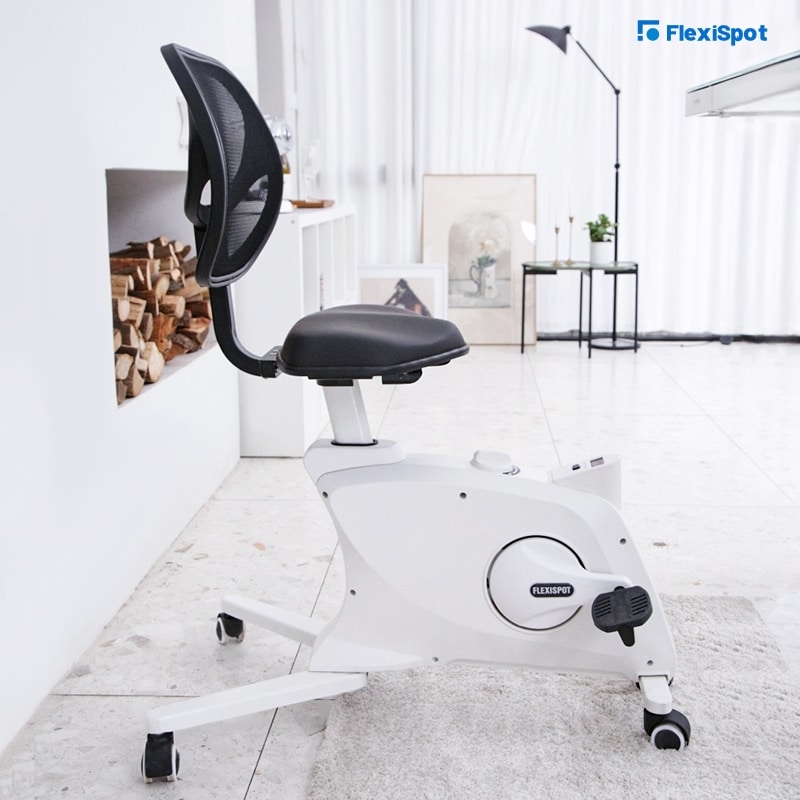 FlexiSpot's Sit2Go 2-in-1 Fitness Chair