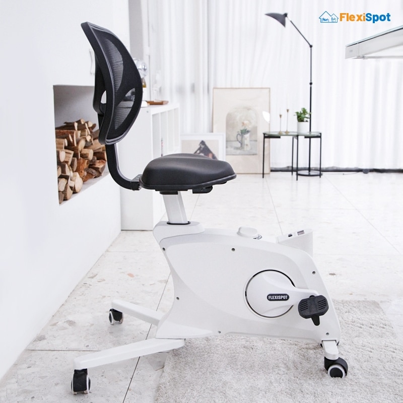 Flexispot Sit2Go 2-in-1 Fitness Chair 