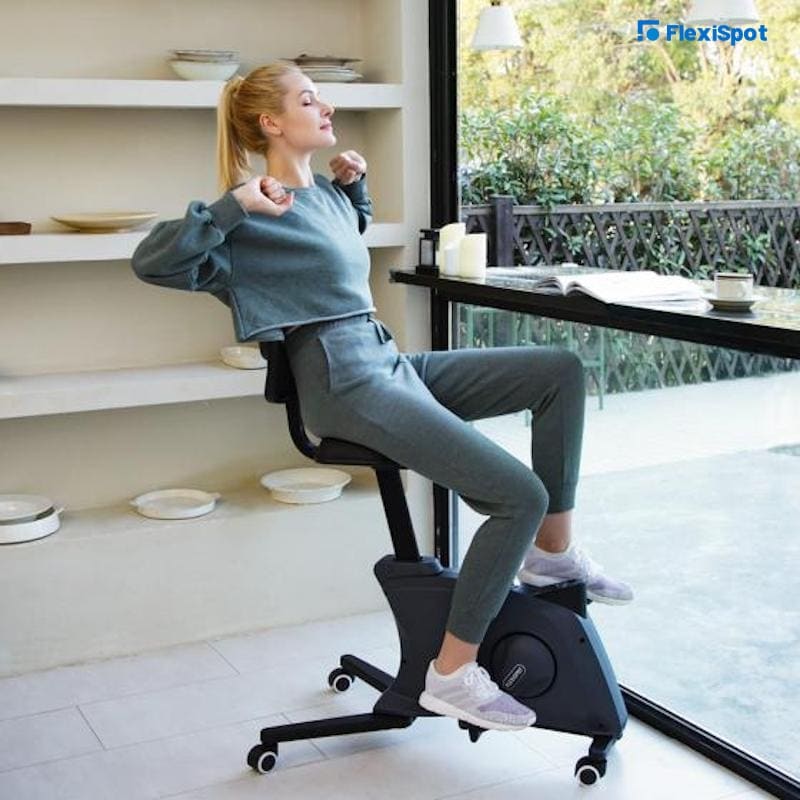 Sit2Go 2-in-1 Flexispot Fitness Chair