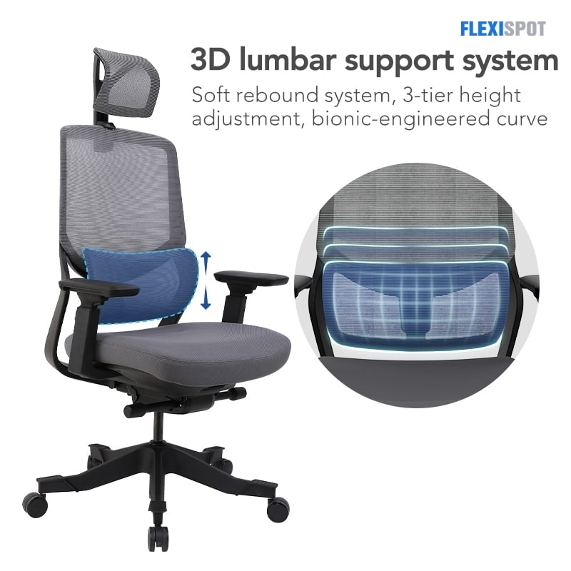 The lumbar support system in three dimensions