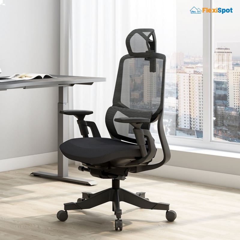 Get a New Ergonomic Office Chairs