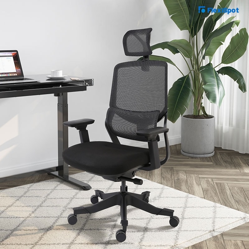 Ergonomic Chair with Lumbar Support