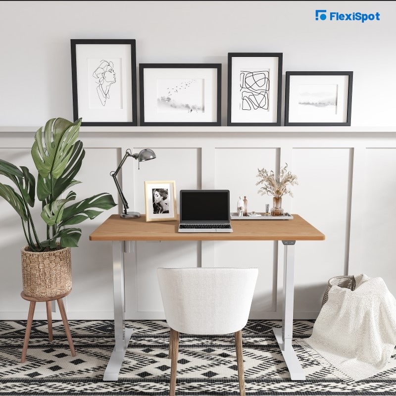 Plants and Office Décor