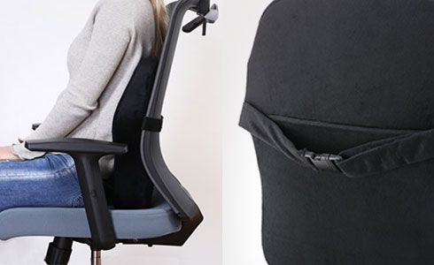FlexiSpot Ergonomic back cushion CB1