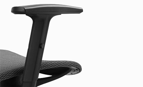 Flexispot Ergonomic Office Chair OC3 Adjustable lifting armrest OC3B