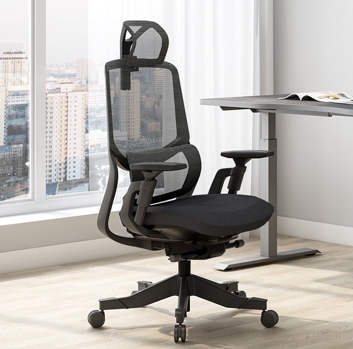Ergonomic Office Chair OC10