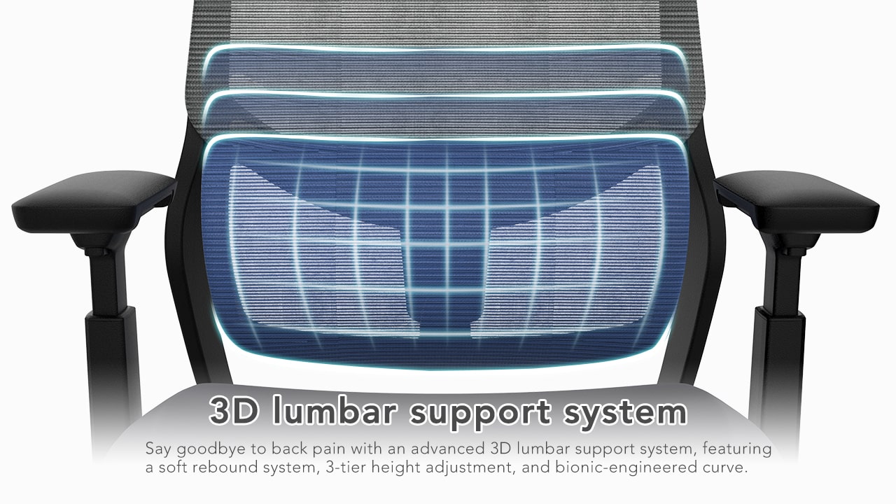 3D Lumbar Support